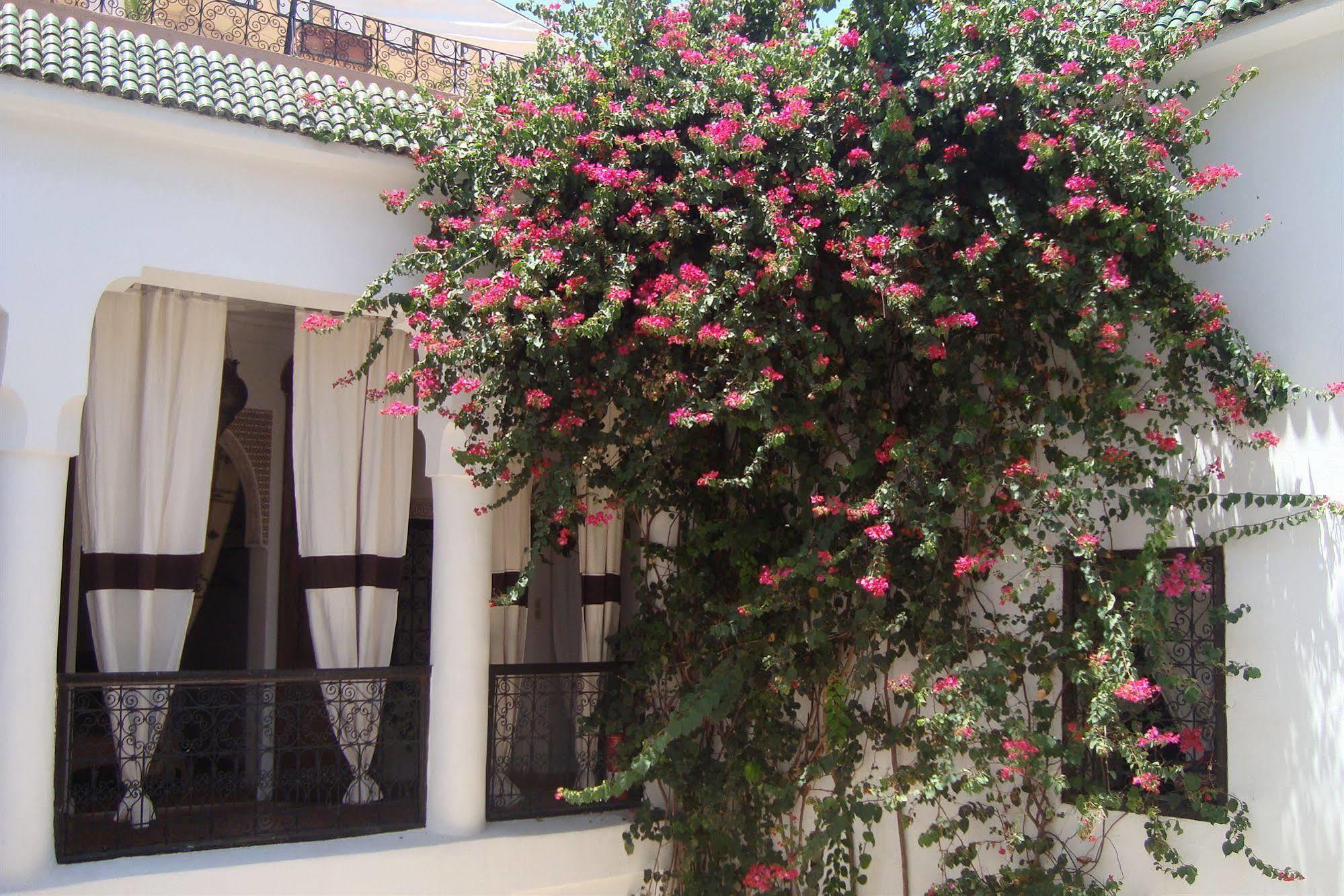 Riad Noor Charana Marrakesz Zewnętrze zdjęcie